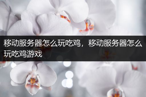 移动服务器怎么玩吃鸡，移动服务器怎么玩吃鸡游戏