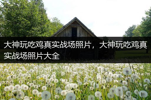 大神玩吃鸡真实战场照片，大神玩吃鸡真实战场照片大全