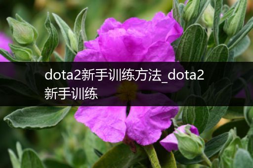 dota2新手训练方法_dota2 新手训练