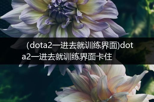 （dota2一进去就训练界面)dota2一进去就训练界面卡住