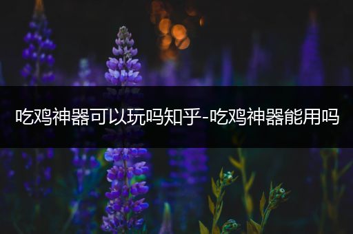 吃鸡神器可以玩吗知乎-吃鸡神器能用吗