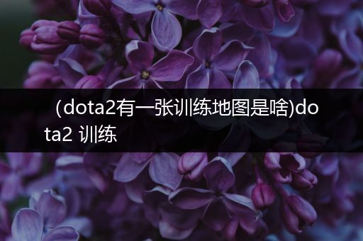（dota2有一张训练地图是啥)dota2 训练