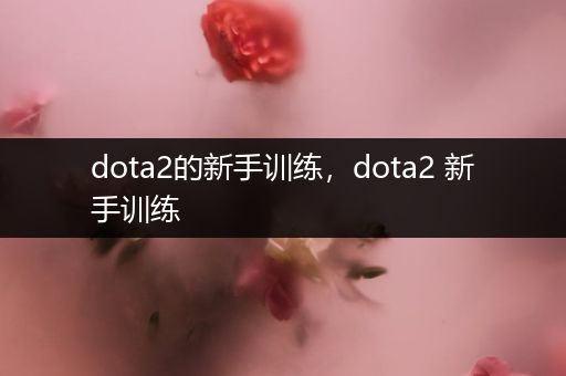 dota2的新手训练，dota2 新手训练