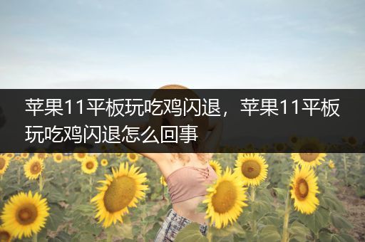 苹果11平板玩吃鸡闪退，苹果11平板玩吃鸡闪退怎么回事