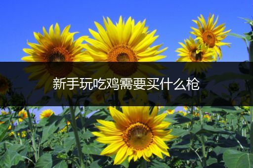新手玩吃鸡需要买什么枪