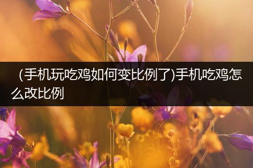 （手机玩吃鸡如何变比例了)手机吃鸡怎么改比例