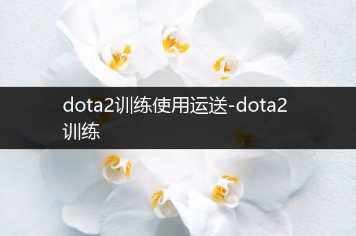 dota2训练使用运送-dota2 训练