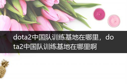 dota2中国队训练基地在哪里，dota2中国队训练基地在哪里啊