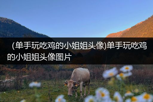 （单手玩吃鸡的小姐姐头像)单手玩吃鸡的小姐姐头像图片