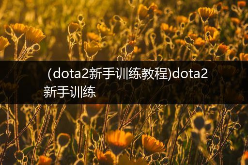 （dota2新手训练教程)dota2 新手训练