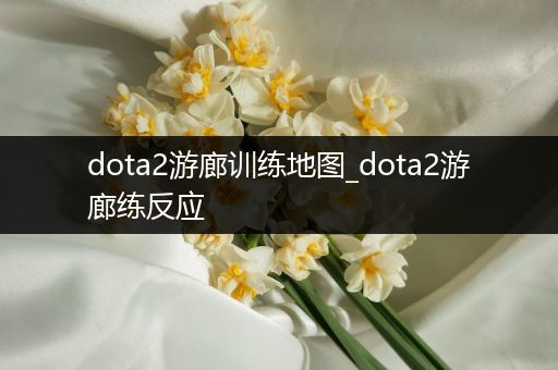 dota2游廊训练地图_dota2游廊练反应