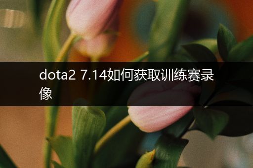 dota2 7.14如何获取训练赛录像