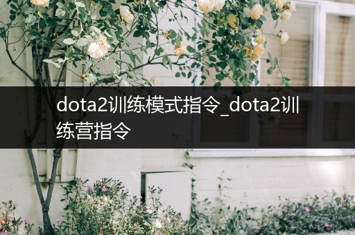 dota2训练模式指令_dota2训练营指令