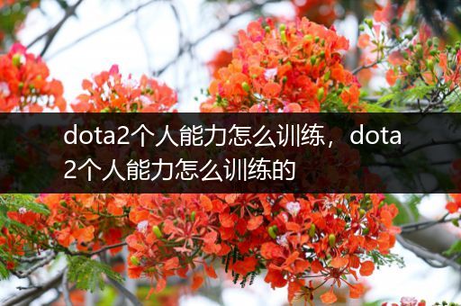 dota2个人能力怎么训练，dota2个人能力怎么训练的