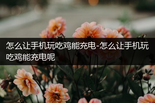 怎么让手机玩吃鸡能充电-怎么让手机玩吃鸡能充电呢