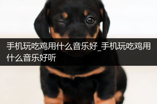手机玩吃鸡用什么音乐好_手机玩吃鸡用什么音乐好听
