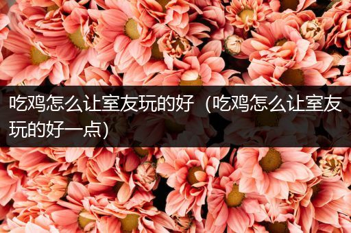 吃鸡怎么让室友玩的好（吃鸡怎么让室友玩的好一点）