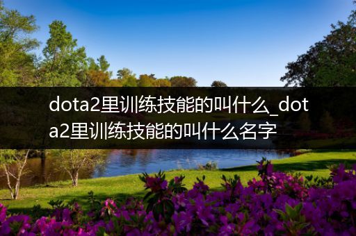 dota2里训练技能的叫什么_dota2里训练技能的叫什么名字