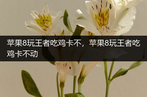 苹果8玩王者吃鸡卡不，苹果8玩王者吃鸡卡不动