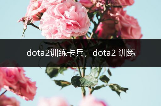 dota2训练卡兵，dota2 训练
