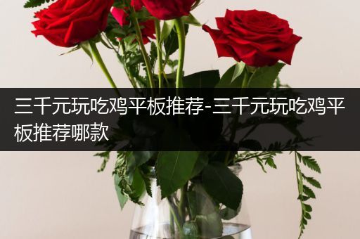 三千元玩吃鸡平板推荐-三千元玩吃鸡平板推荐哪款