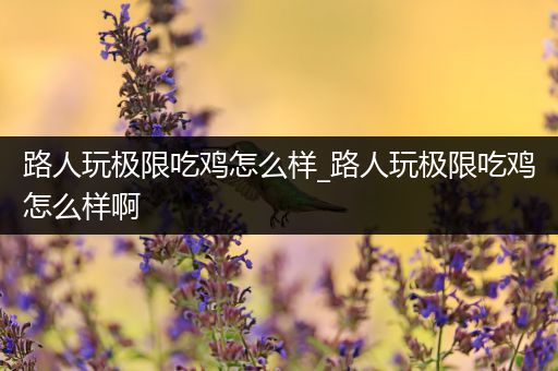 路人玩极限吃鸡怎么样_路人玩极限吃鸡怎么样啊
