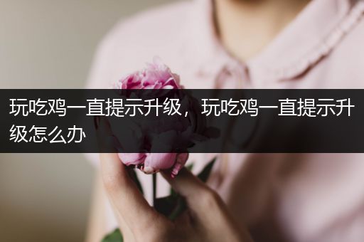 玩吃鸡一直提示升级，玩吃鸡一直提示升级怎么办