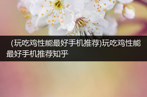 （玩吃鸡性能最好手机推荐)玩吃鸡性能最好手机推荐知乎