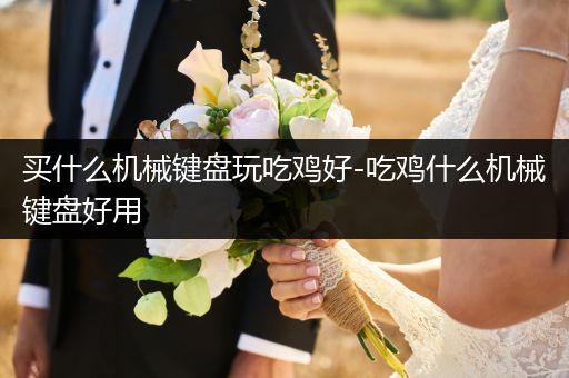 买什么机械键盘玩吃鸡好-吃鸡什么机械键盘好用