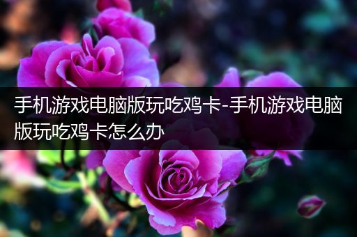 手机游戏电脑版玩吃鸡卡-手机游戏电脑版玩吃鸡卡怎么办