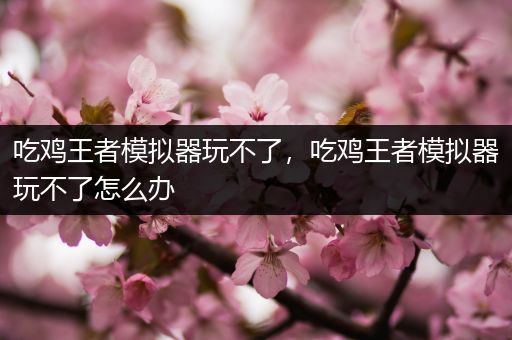 吃鸡王者模拟器玩不了，吃鸡王者模拟器玩不了怎么办