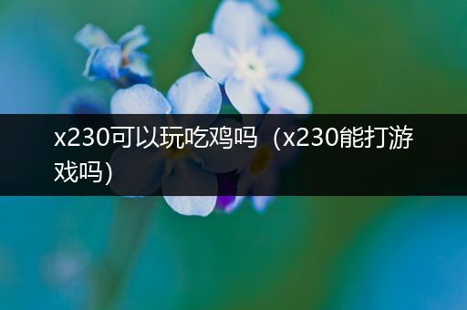 x230可以玩吃鸡吗（x230能打游戏吗）