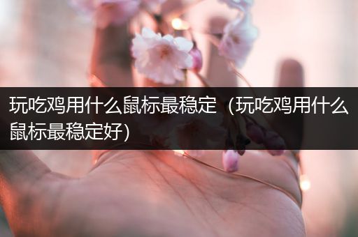 玩吃鸡用什么鼠标最稳定（玩吃鸡用什么鼠标最稳定好）