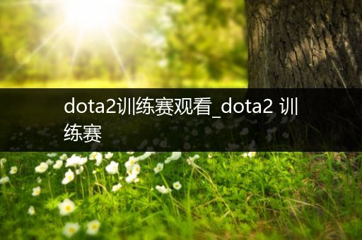 dota2训练赛观看_dota2 训练赛