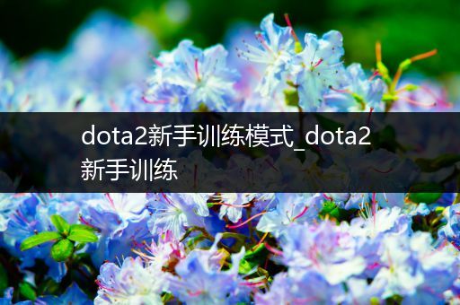 dota2新手训练模式_dota2 新手训练