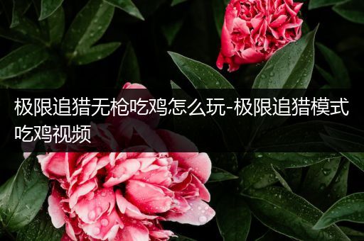 极限追猎无枪吃鸡怎么玩-极限追猎模式吃鸡视频
