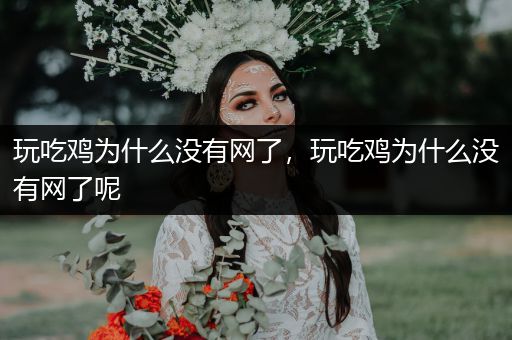 玩吃鸡为什么没有网了，玩吃鸡为什么没有网了呢