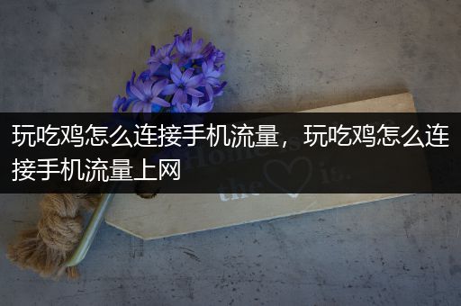 玩吃鸡怎么连接手机流量，玩吃鸡怎么连接手机流量上网