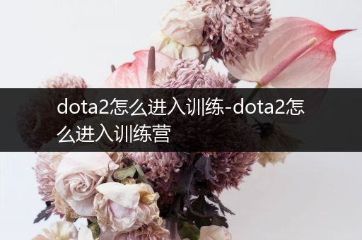 dota2怎么进入训练-dota2怎么进入训练营