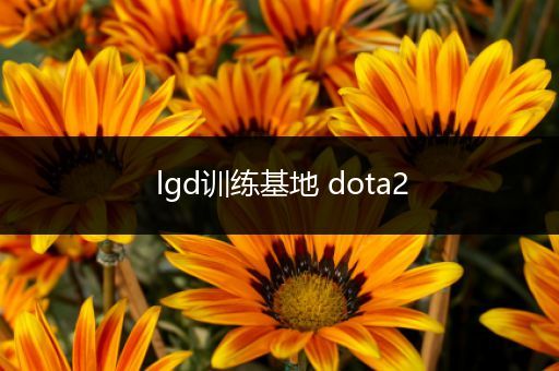 lgd训练基地 dota2