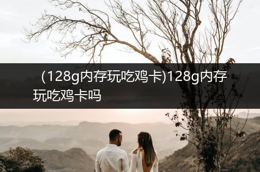 （128g内存玩吃鸡卡)128g内存玩吃鸡卡吗