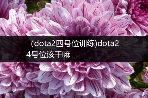 （dota2四号位训练)dota2 4号位该干嘛