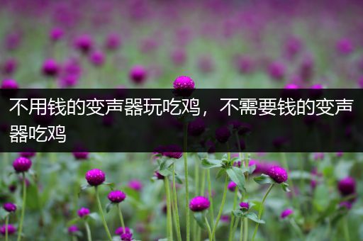 不用钱的变声器玩吃鸡，不需要钱的变声器吃鸡