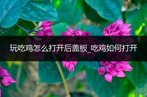 玩吃鸡怎么打开后盖板_吃鸡如何打开