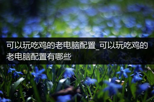 可以玩吃鸡的老电脑配置_可以玩吃鸡的老电脑配置有哪些
