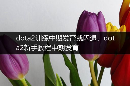 dota2训练中期发育就闪退，dota2新手教程中期发育