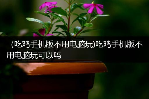 （吃鸡手机版不用电脑玩)吃鸡手机版不用电脑玩可以吗