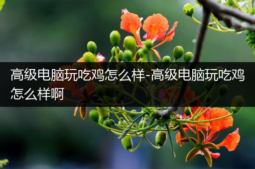 高级电脑玩吃鸡怎么样-高级电脑玩吃鸡怎么样啊