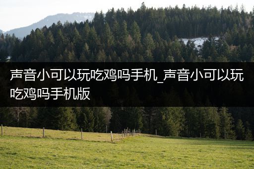 声音小可以玩吃鸡吗手机_声音小可以玩吃鸡吗手机版