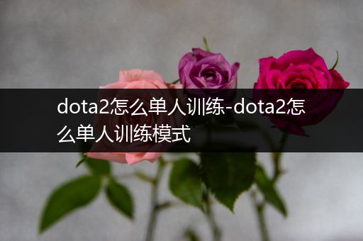 dota2怎么单人训练-dota2怎么单人训练模式